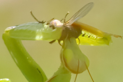 Vivre à deux - introduction - 2mn 02s